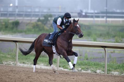 belmont online betting